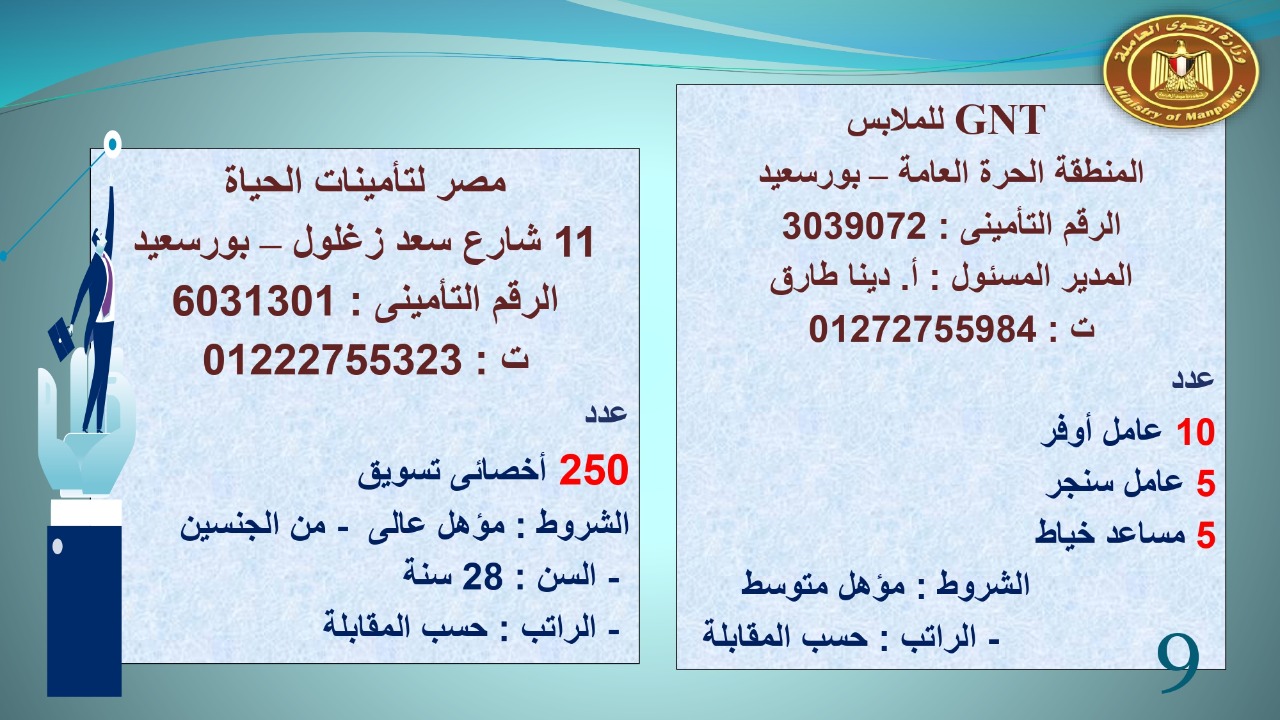 براتب يبداء من 2400.. القوى العاملة توفر 22 19 فرص عمل للجنسين 