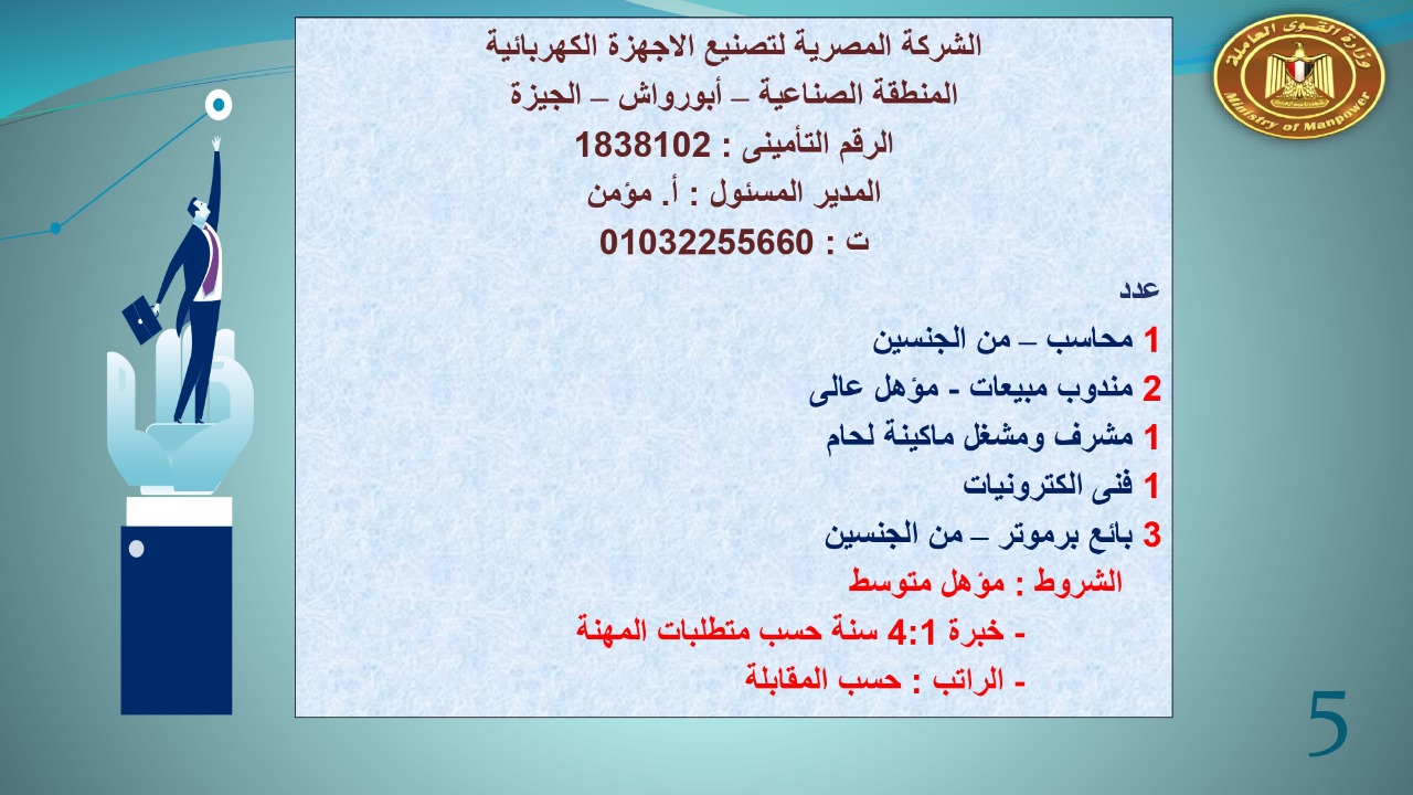 براتب يبداء من 2400.. القوى العاملة توفر 22 19 فرص عمل للجنسين 