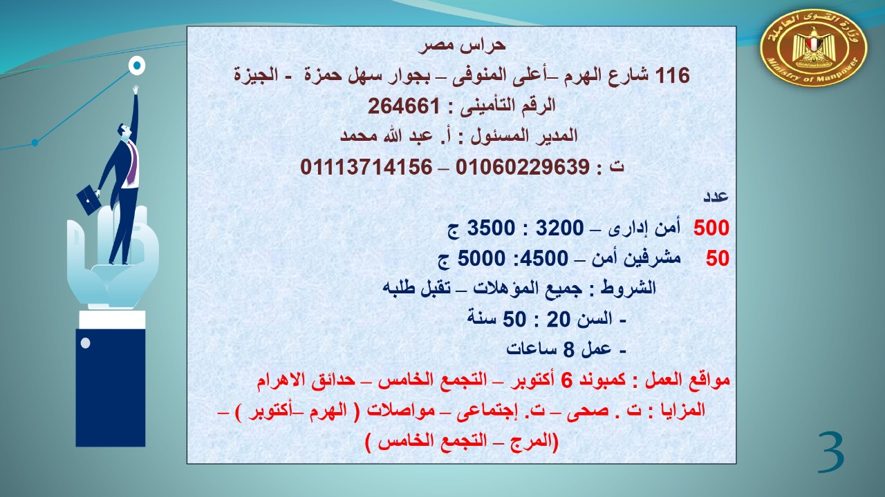 براتب يبداء من 2400.. القوى العاملة توفر 22 19 فرص عمل للجنسين 