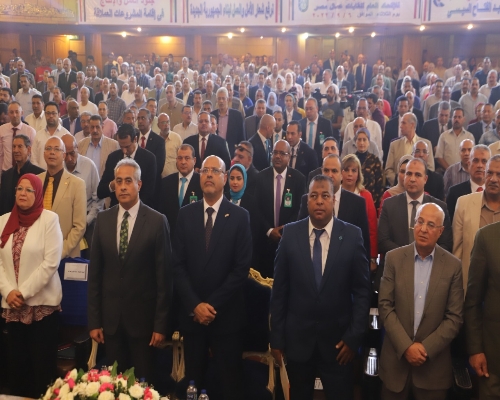 شحاتة: 