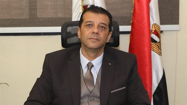 المستشار وليد حمزة رئيس الهيئة الوطنية للانتخابات