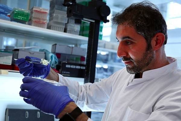 صورة أرشيفية