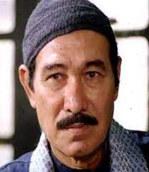 حمدى غيث