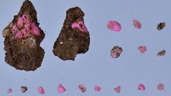 أحد مواد التجميل التي تم العثور عليها