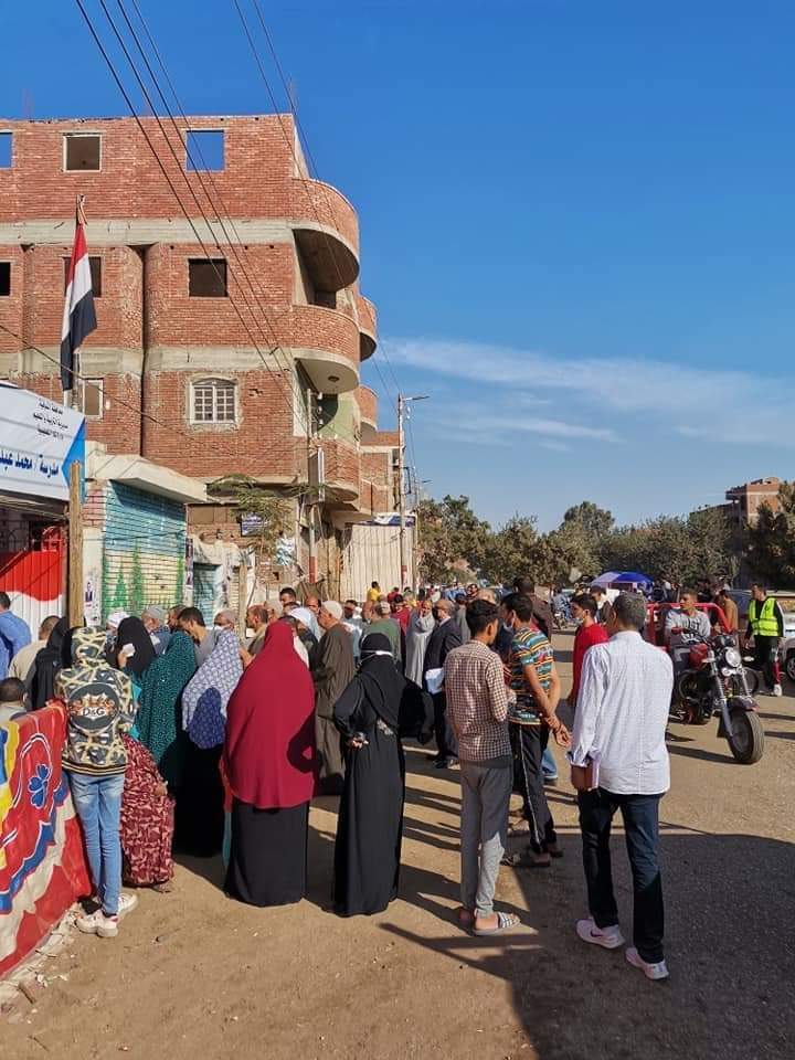 إقبال كثيف من السيدات على لجان المنوفية