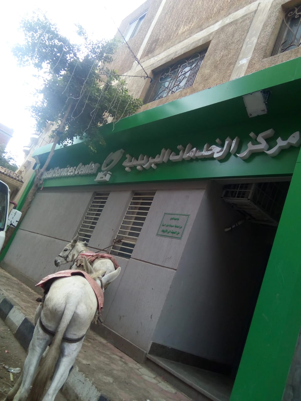 صرخة للمسئولين.. افتحوا بريد نكلا رحمة بكبار السن 