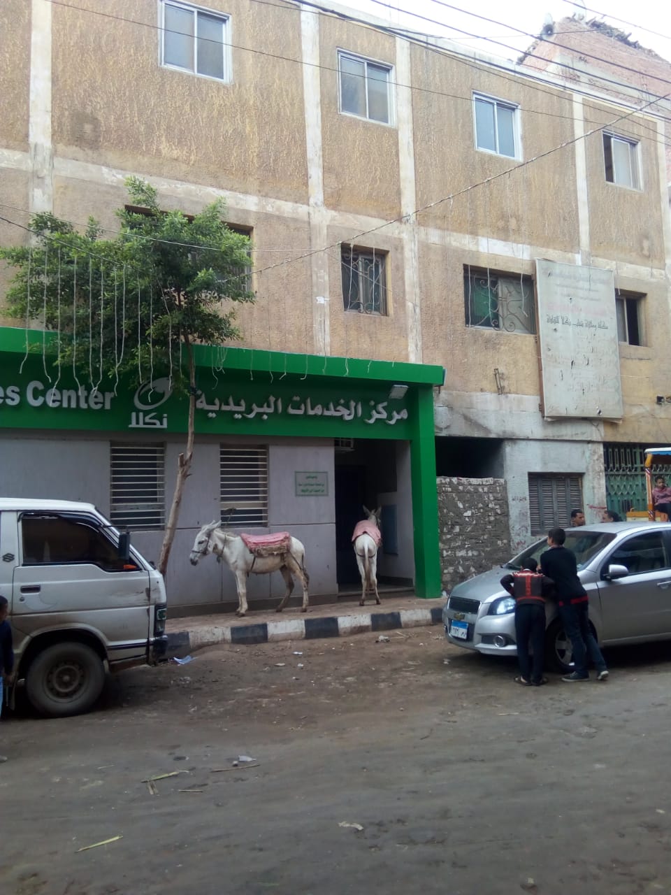 صرخة للمسئولين.. افتحوا بريد نكلا رحمة بكبار السن 