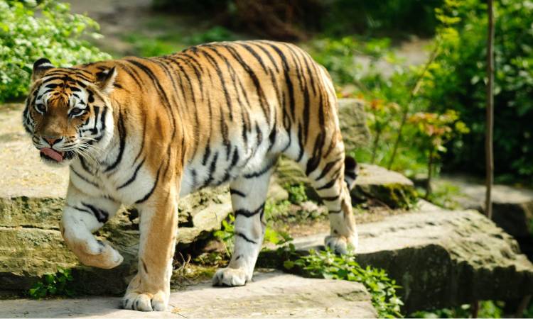 صورة ارشيفية