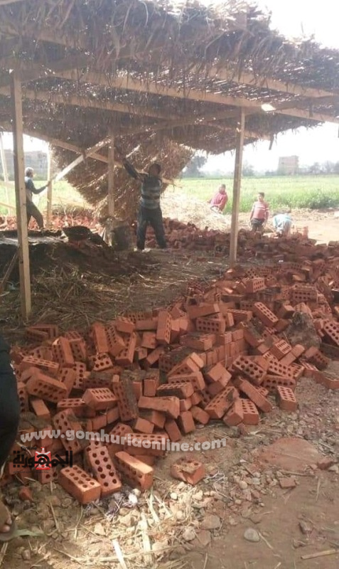 محافظ المنوفية : إزالة فورية لـ 6 حالات تعدي علي الأراضي الزراعية وأملاك الدولة في شبين الكوم وقويسنا والسادات 