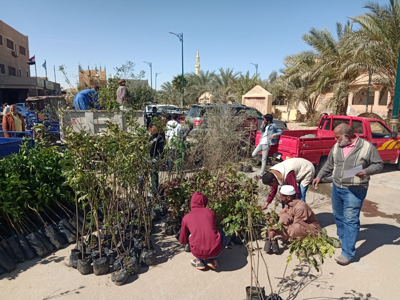 محافظ مطروح يتابع توزيع  شتلات أشجار مبادرة 100 مليون شجرة