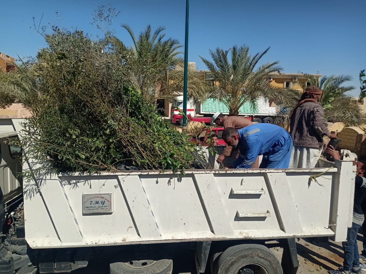 محافظ مطروح يتابع توزيع  شتلات أشجار مبادرة 100 مليون شجرة