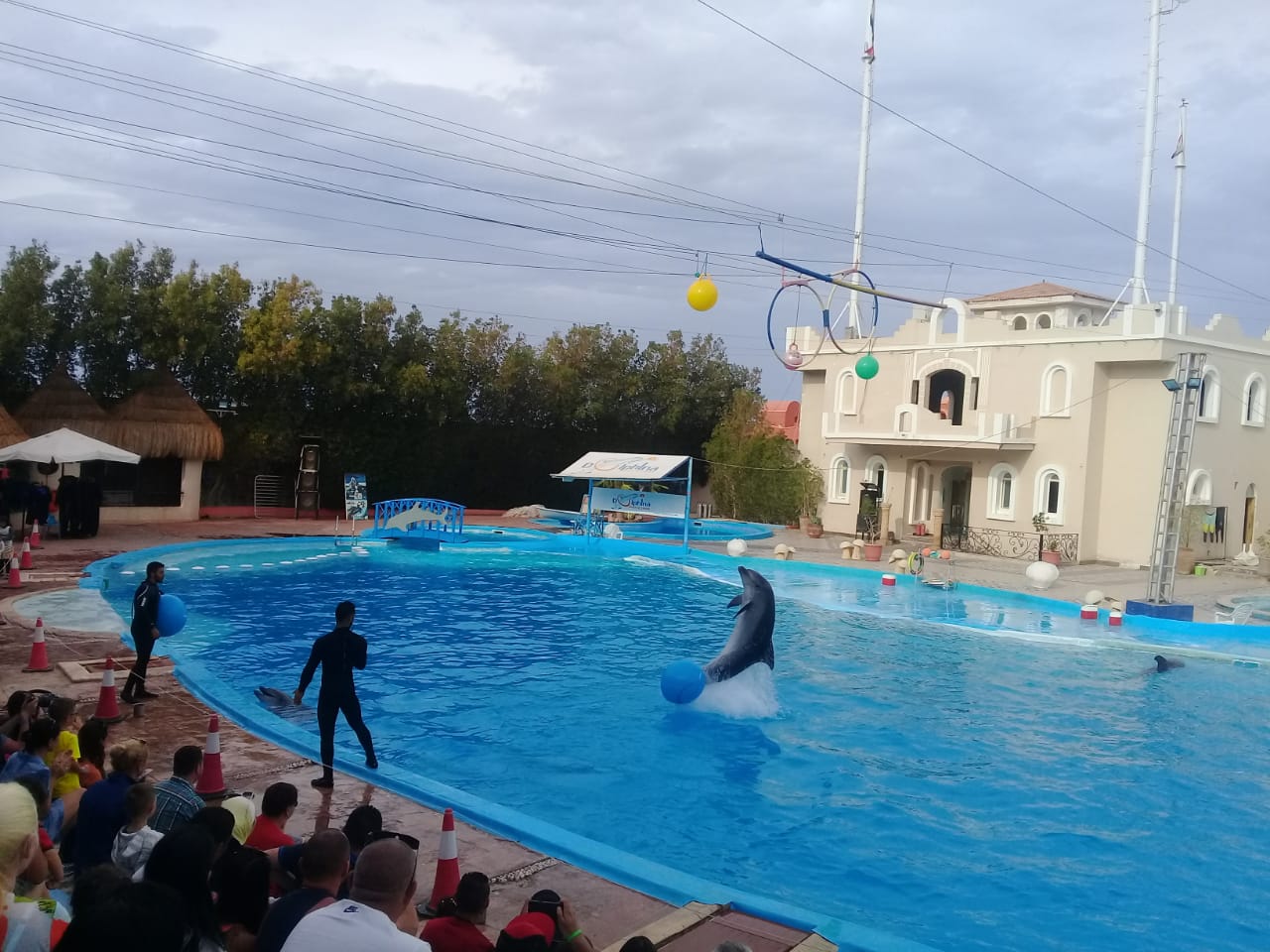 جمعية الامل لرعاية الطفل والاسرة بشرم الشيخ  تحتفل بيوم اليتيم العربي.. صور