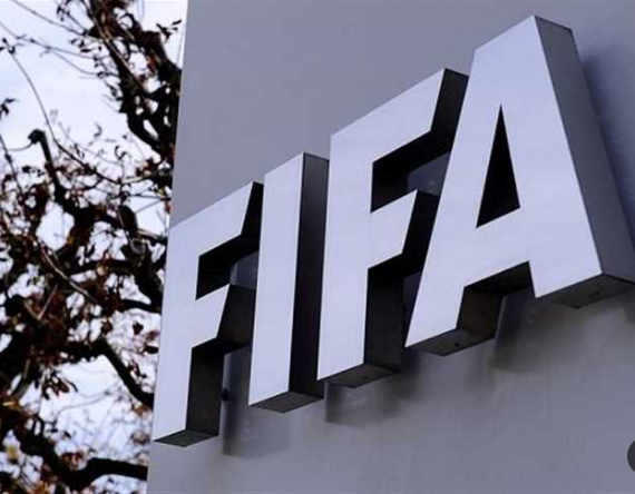 الفيفا