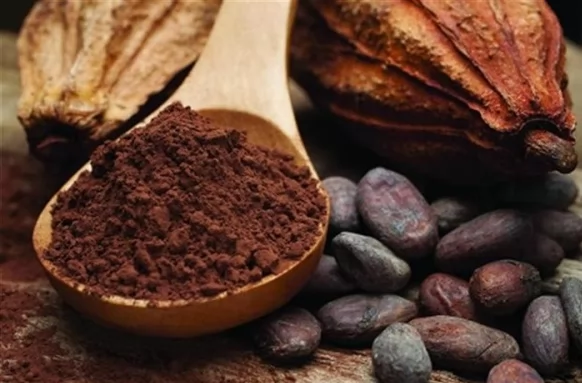 دراسة تكشف فوائد الكاكاو المحتملة للوقاية من أمراض العين 