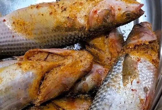 طريقة تحضير الفسيخ المصري التقليدي في المنزل 