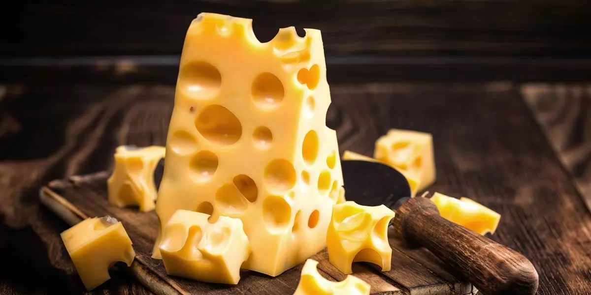 أفضل أنواع من الجبن تساعدك فى التخلص من دهون البطن 