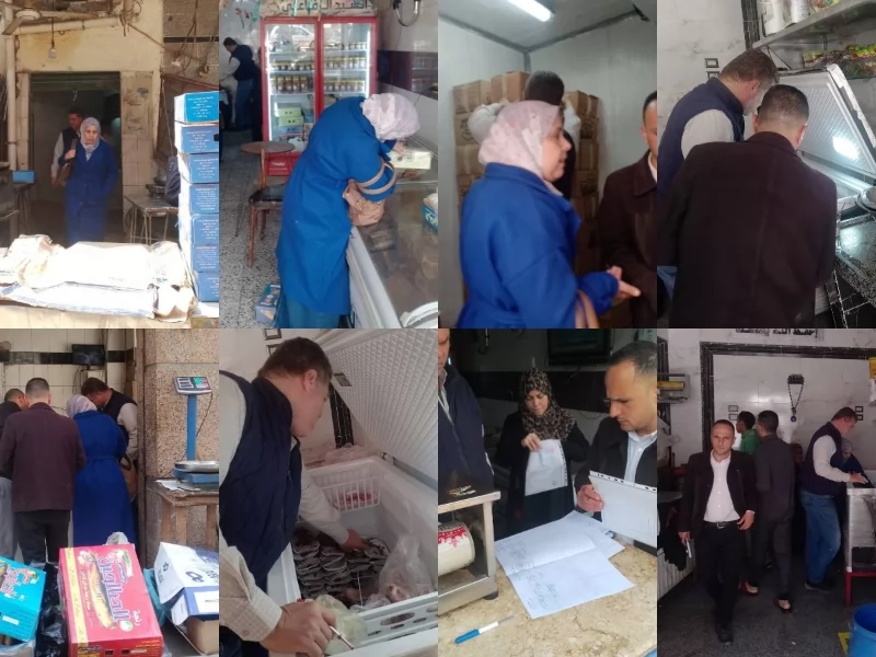 تموين القليوبية