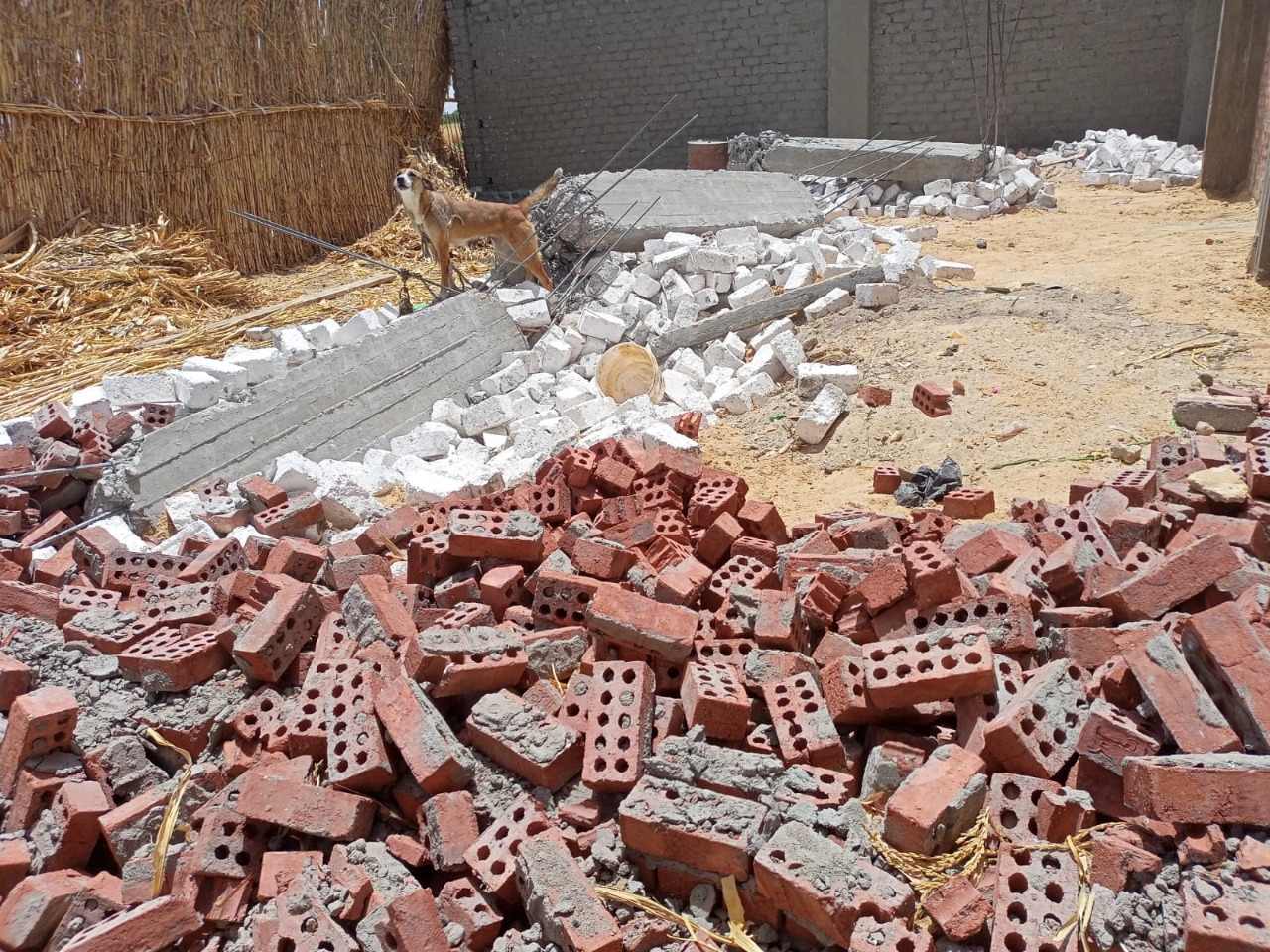 محافظ أسيوط يعلن التصدى لعدد 6 حالات تعدى على اراضى زراعية ومخالفات بناء بمراكز منفلوط وديروط وصدفا  