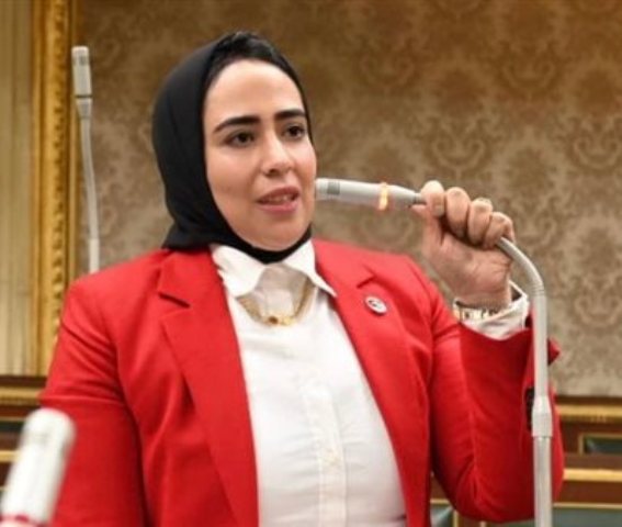 النائبة سارة النحاس