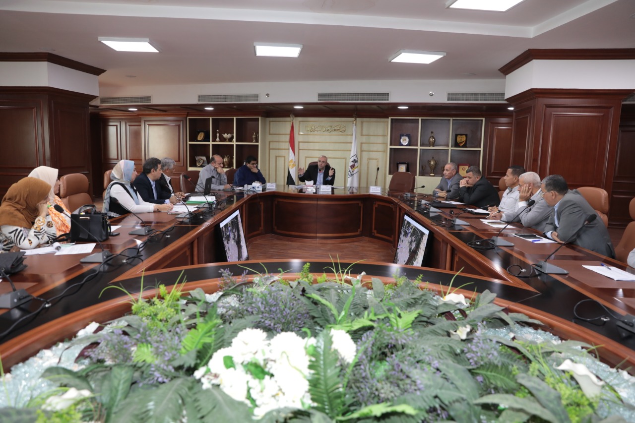 دراسة أنشاء محاور وكبارى ببنى سويف لتسهيل الحركة المرورية