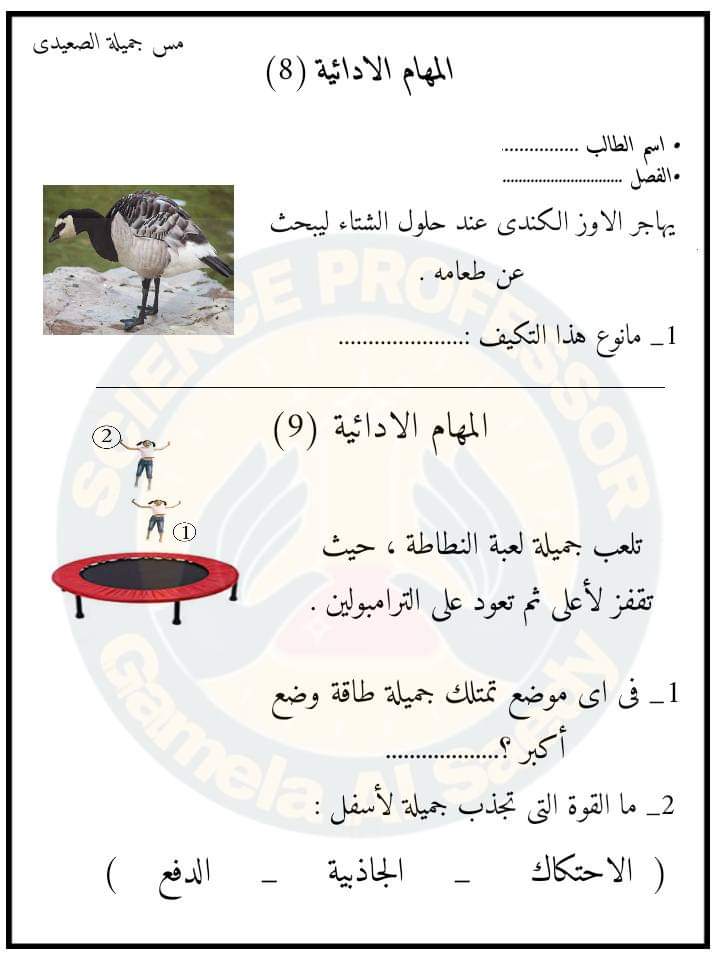 First slide