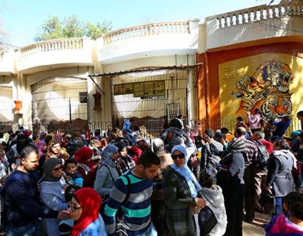 نصف مليون زائر لحديقة الحيوان خلال إجازة نصف العام الدراسي
