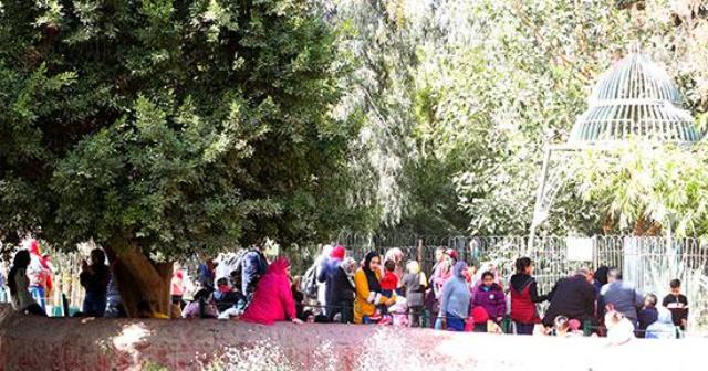 نصف مليون زائر لحديقة الحيوان خلال إجازة نصف العام الدراسي