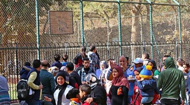 نصف مليون زائر لحديقة الحيوان خلال إجازة نصف العام الدراسي