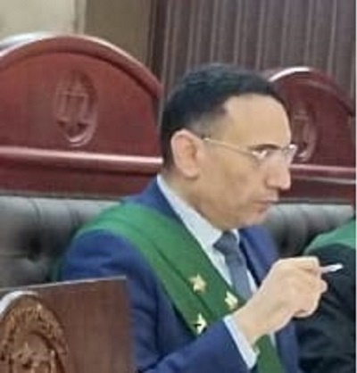 المستشار أيمن فؤاد فهمي 