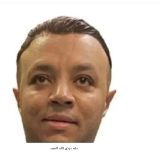 العالِم المصري طه عوض الله السيد يتصدر تصنيف AD Scientific Index 
