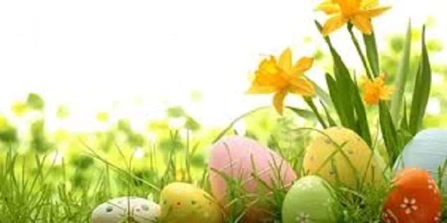 شم النسيم .. تقليد مصري قديم يحتفل بتجدد الحياة والطبيعة 