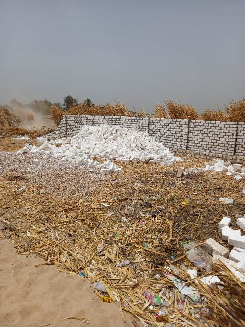 التموين:زيادة معدلات ضخ اللحوم الطازجه بالمنافذ 