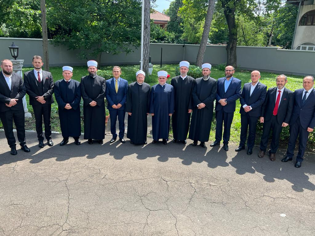 مفتي صربيا:ندين بالفضل لمصر ومنهج الأزهرهوالضامن لتحقيق الاستقرار