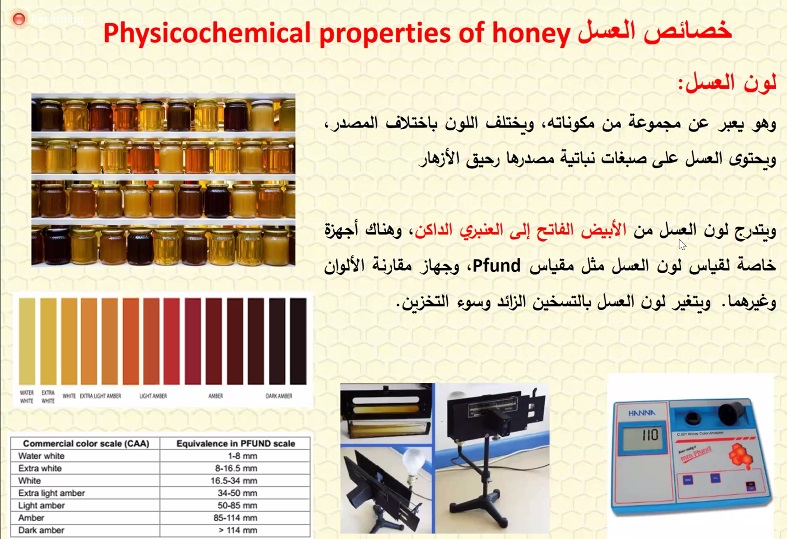 طرق الكشف عن غش العسل.. وظاهرة التبلور والتغذية السكرية يستعرضها أستاذ النحل بكلية الزراعة جامعة الفيوم