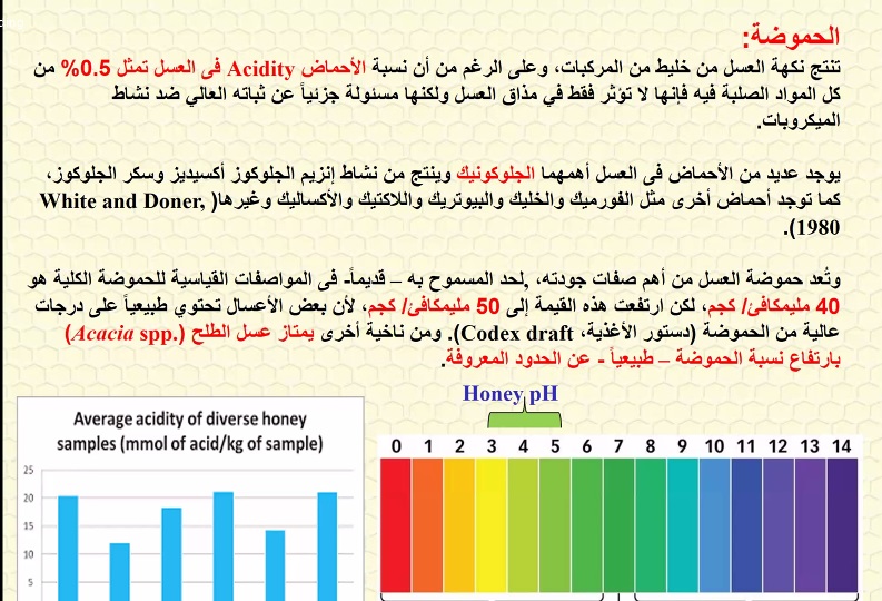 طرق الكشف عن غش العسل.. وظاهرة التبلور والتغذية السكرية يستعرضها أستاذ النحل بكلية الزراعة جامعة الفيوم