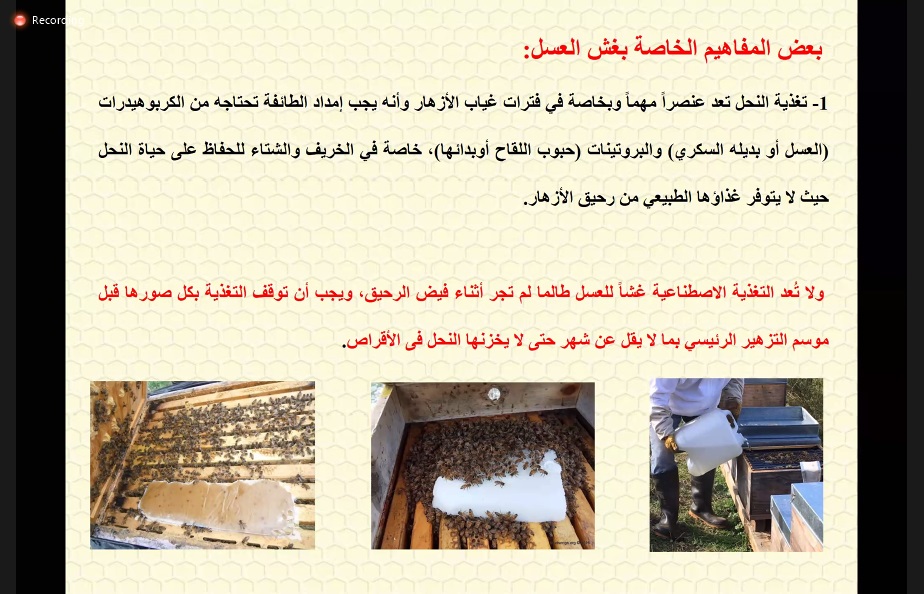 طرق الكشف عن غش العسل.. وظاهرة التبلور والتغذية السكرية يستعرضها أستاذ النحل بكلية الزراعة جامعة الفيوم