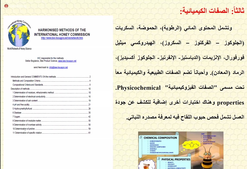 طرق الكشف عن غش العسل.. وظاهرة التبلور والتغذية السكرية يستعرضها أستاذ النحل بكلية الزراعة جامعة الفيوم