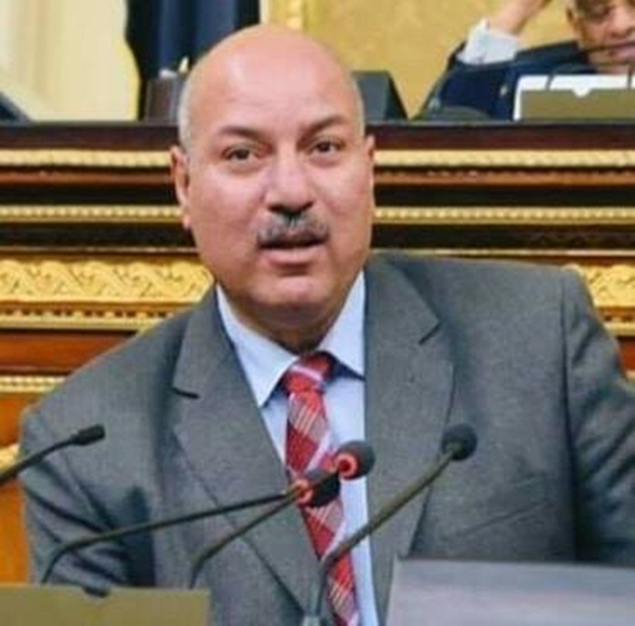 النائب عصمت زايد