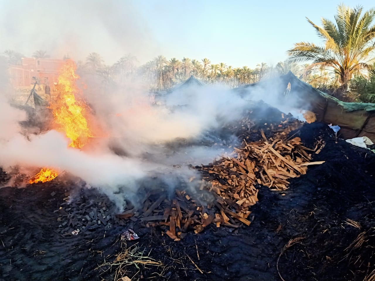 حملة مكبرة لإزالة مكامير الفحم المخالفة بكفر البطيخ..صور
