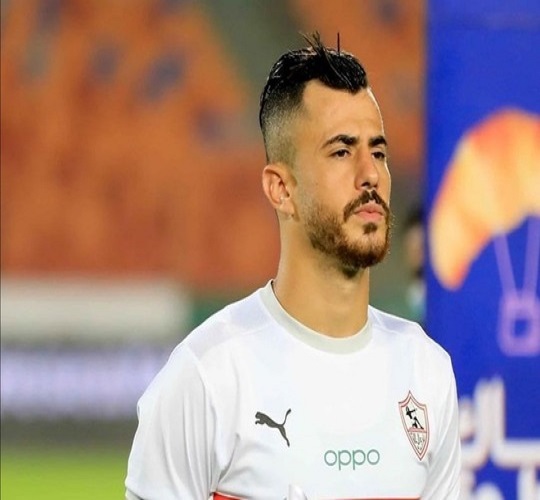  محمود حمدي الونش