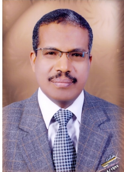 الدكتور حسن عبدالخالق- نائب رئيس جامعة الوادى الجديد لشئون الدراسات العليا والبحوث