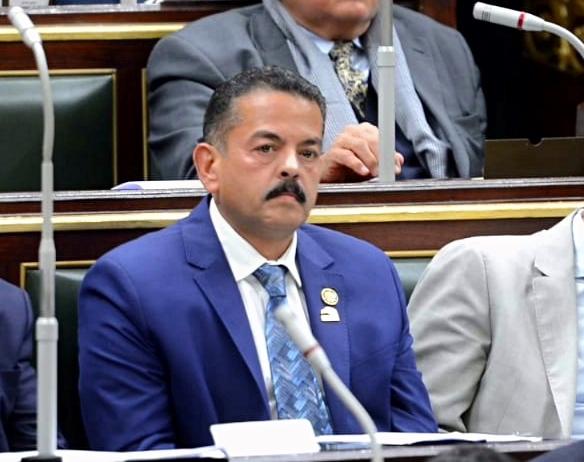 النائب حافظ عمران 