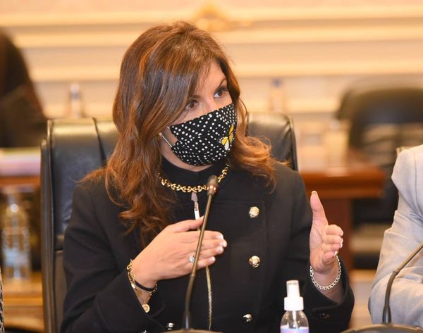 السفيرة نبيلة مكرم عبدالشهيد- وزيرة الدولة للهجرة وشئون المصريين بالخارج 