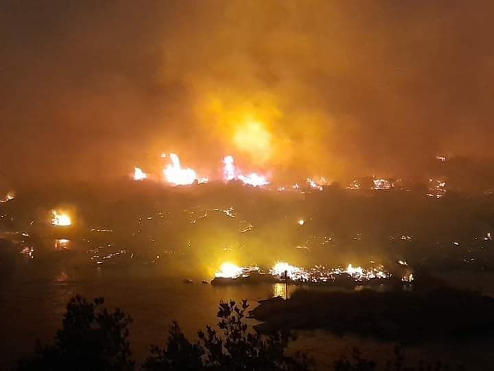 محافظ أسوان يتابع جهود أخماد حريق في محمية سالوجا وغزال الطبيعية.. والدفع بلنشات وسيارات الإطفاء