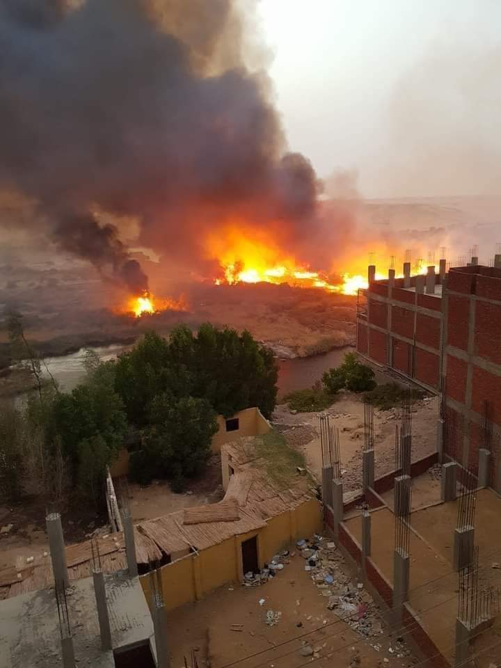 محافظ أسوان يتابع جهود أخماد حريق في محمية سالوجا وغزال الطبيعية.. والدفع بلنشات وسيارات الإطفاء