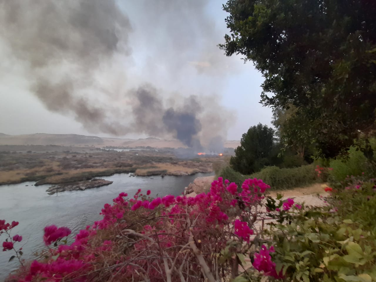 محافظ أسوان يتابع جهود أخماد حريق في محمية سالوجا وغزال الطبيعية.. والدفع بلنشات وسيارات الإطفاء
