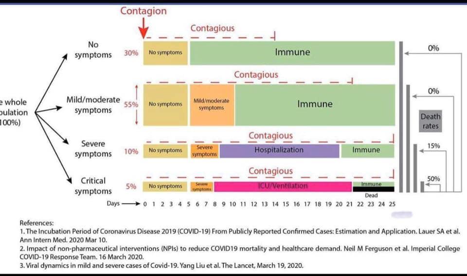First slide