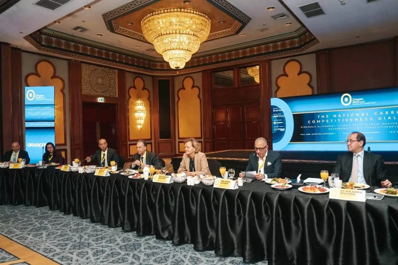 وزير المالية :نتحرك بقوة لرفع كفاءة استخدام الطاقة بالاقتصاد المصري 