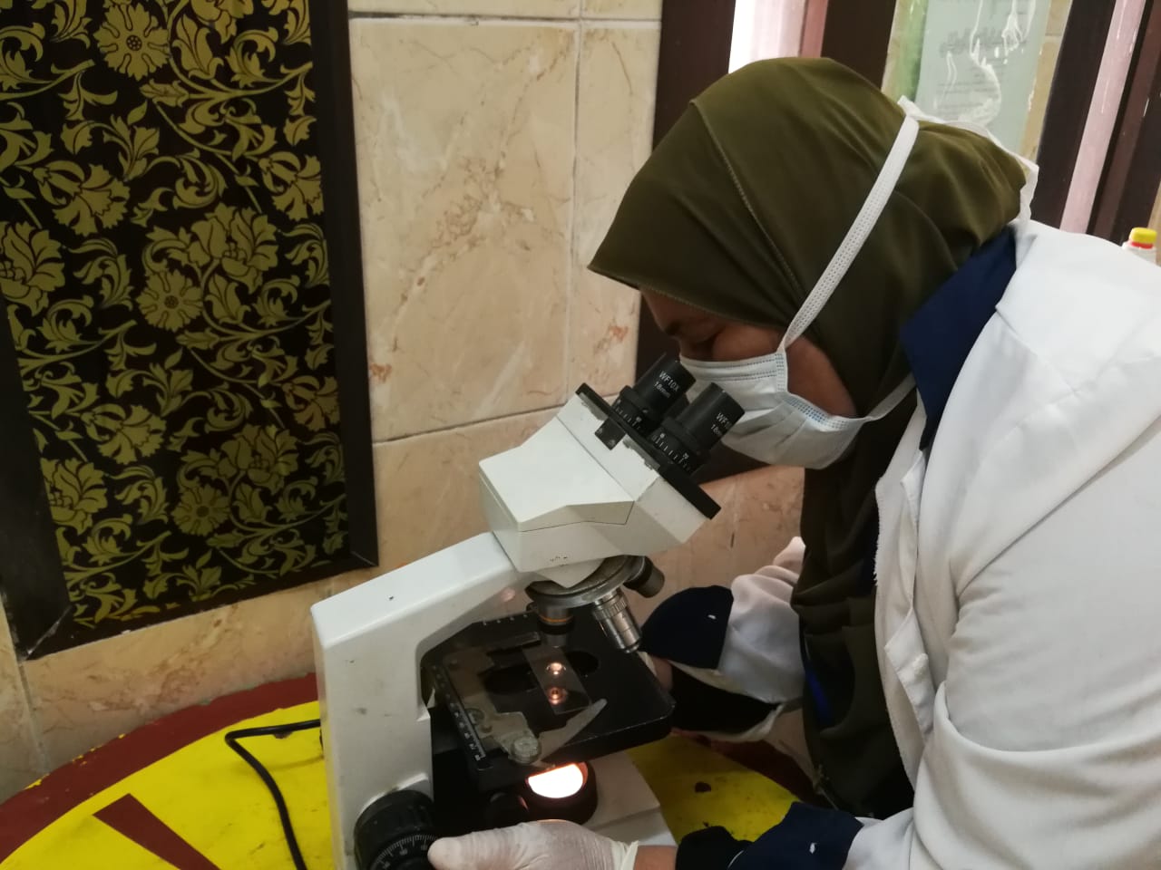 الكشف على  1853 مريضاً فى قافلة علاجية في قرية  الأمل ببلقاس