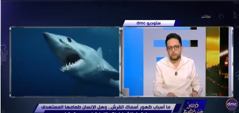 الإعلامي أحمد فايق